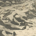 Postcard: Recovered bodies of dead prostitutes in Yoshiwara, Tokyo