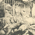 Postcard: Dead bodies at Mukojima, Honjo Ward